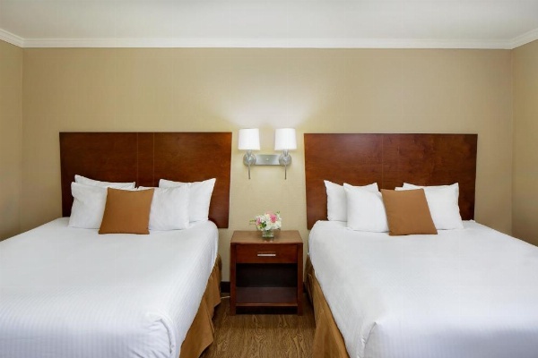 Best Western Bennington image 15