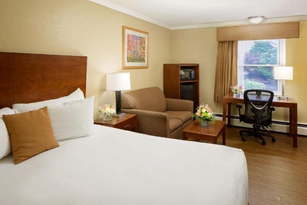 Best Western Bennington image 17