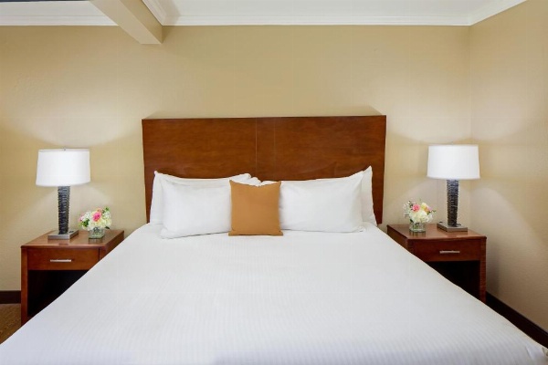Best Western Bennington image 18